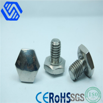 Hex Head Screw